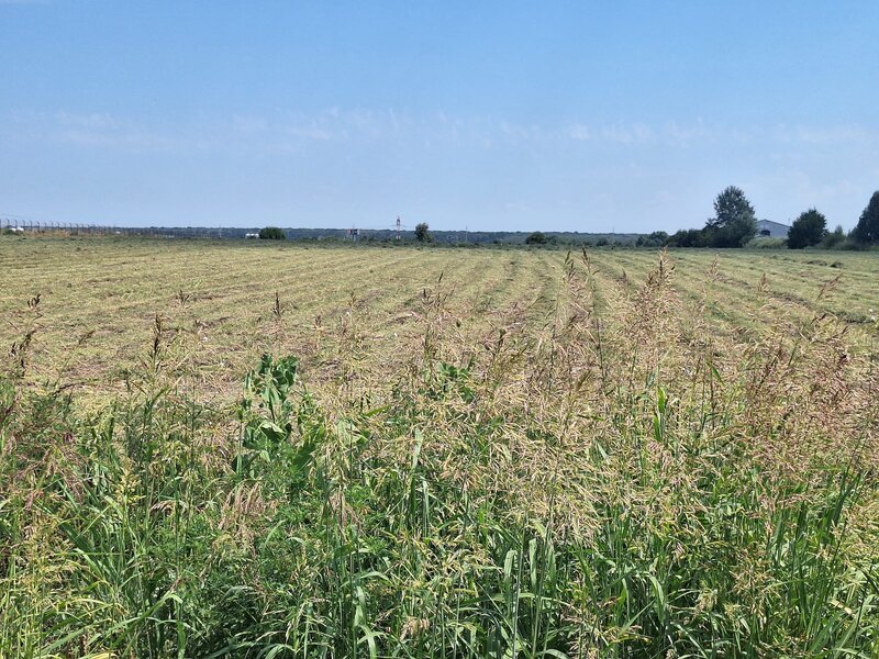 Ciorogarla, Ilfov Teren de vanzare  23.298 mp  Acces rapid A1 si A0