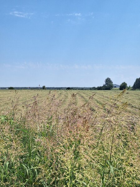 Ciorogarla, Ilfov Teren de vanzare  23.298 mp  Acces rapid A1 si A0