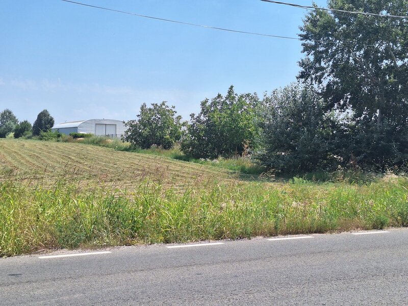 Ciorogarla, Ilfov Teren de vanzare  23.298 mp  Acces rapid A1 si A0