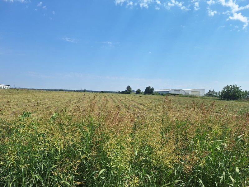Ciorogarla, Ilfov Teren de vanzare  23.298 mp  Acces rapid A1 si A0