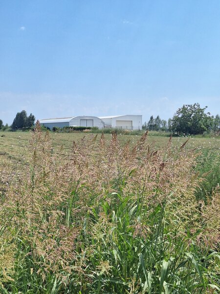 Ciorogarla, Ilfov Teren de vanzare  23.298 mp  Acces rapid A1 si A0