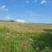 Ciorogarla, Ilfov Teren de vanzare  23.298 mp  Acces rapid A1 si A0