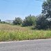 Ciorogarla, Ilfov Teren de vanzare  23.298 mp  Acces rapid A1 si A0